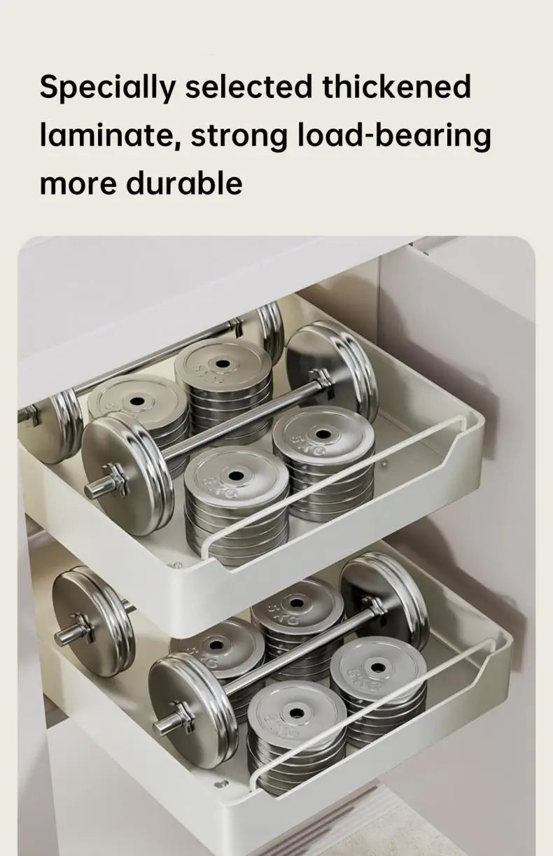 Metal Pull-Out Cabinet Organizer