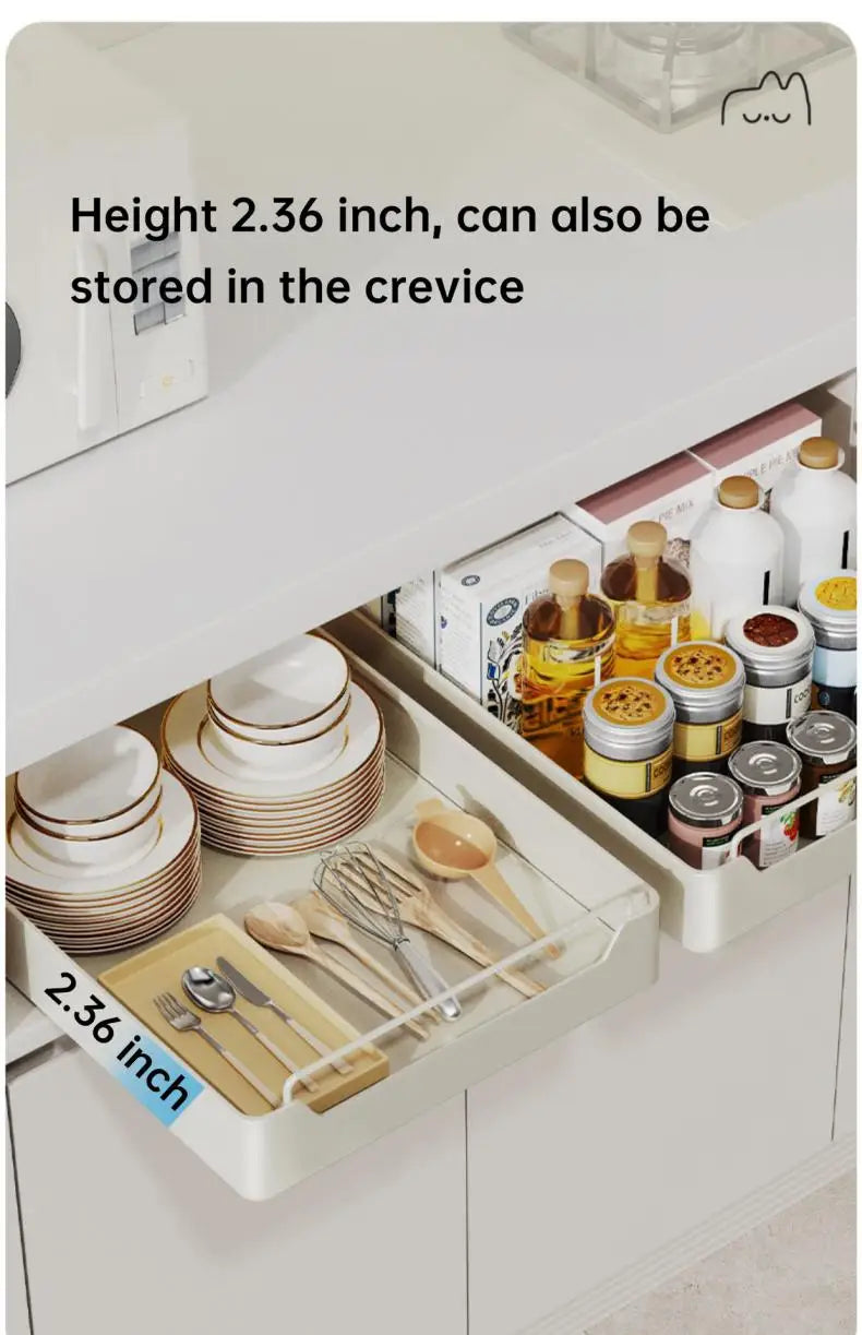 Metal Pull-Out Cabinet Organizer