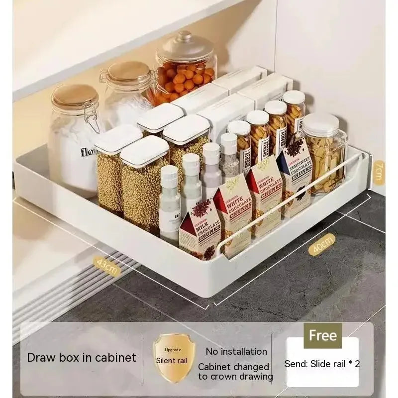 Metal Pull-Out Cabinet Organizer